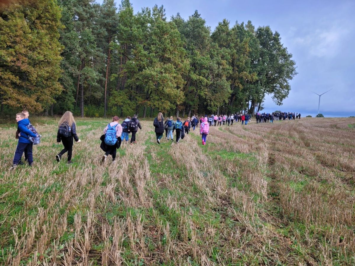 Zdjęcie: Szlakiem Łupawskich Megalitów