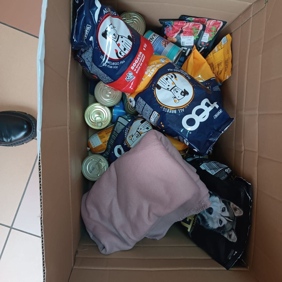 Galeria zdjęć: OPIEKA NAD ZWIERZĘTAMI