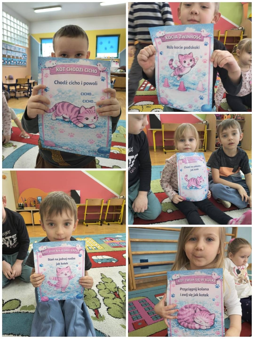 Zdjęcie: DZIEŃ KOTA