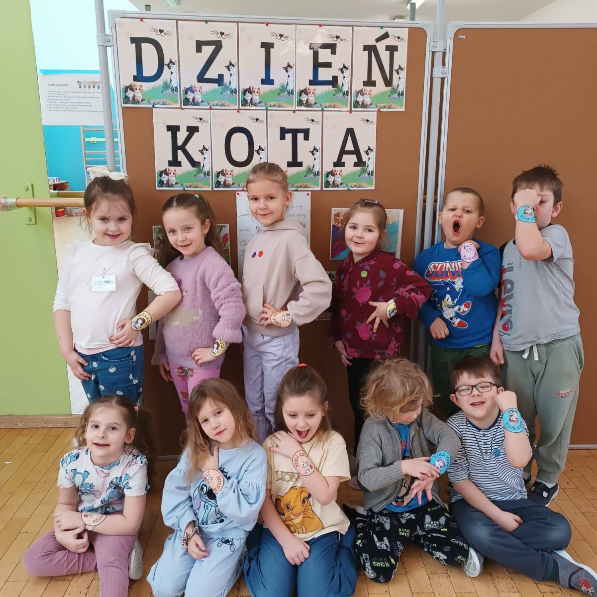Zdjęcie: DZIEŃ KOTA