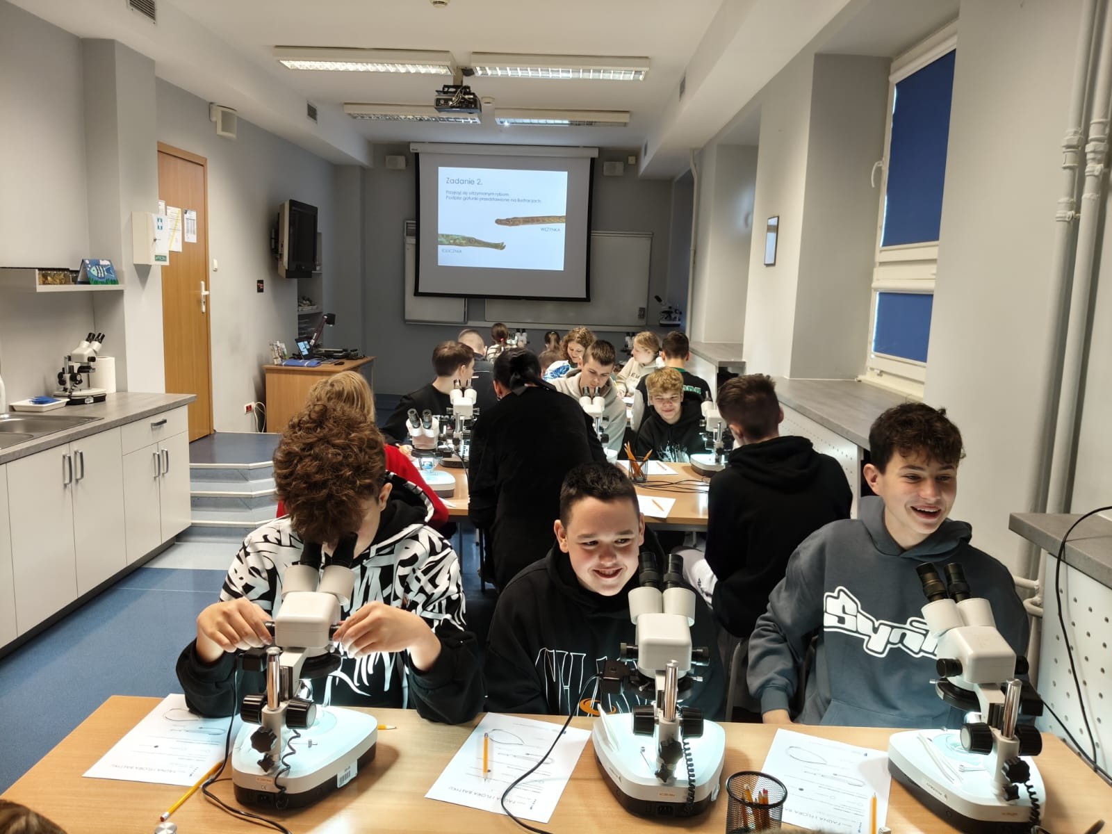 Zdjęcie: Fauna i flora Bałtyku